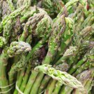 Store Fresh 125 Seeds Asparagus Uc72 Officinallis Mary'S Grandaughter Vegetable
