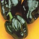 Store Fresh 50 Seeds Ancho Poblano Pepper Chili Pepper Capsicum Annuum Vegetable