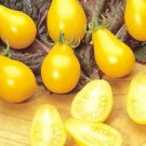 Store Fresh 300 Seeds Yellow Pear Tomato Lycopersicon Lycopersicum Fruit Vegetable