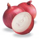 Store Fresh 250 Seeds Red Burgundy Onion Allium Cepa Vegetable
