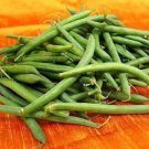 Store Fresh 50 Seeds Tendergreen Green Bean Phaseolus Vulgaris Vegetable