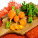 Store Fresh 800 Seeds Parisian Carrot Parisienne Daucas Carota Sativus Orange Vegetable