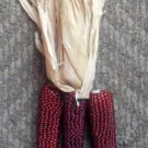 Store Fresh 20 Seeds Mini 'Burnt Orange' Corn Miniature Dark Ornamental Zea Mays Vegetable