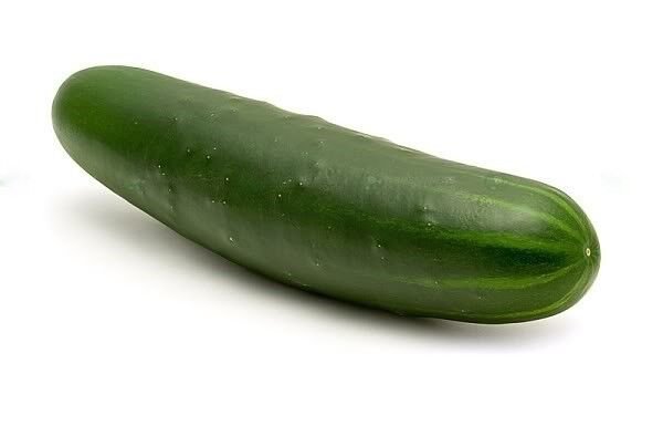 Store Fresh 100 Seeds Long Green Improved Cucumber Slicing Cucumis Sativus Fruit Vegetable