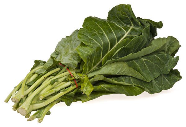 Store Fresh 1000 Seeds Premier Kale Early Hanover Brassica Oleracea Greens Vegetable