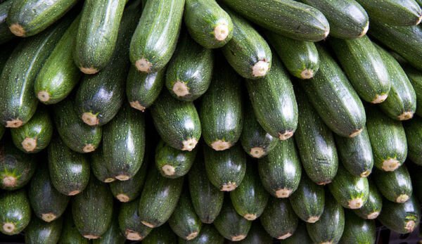 Store Fresh 30 Seeds Gray Zucchini Heirloom Summer Bush Squash Cucurbita Pepo Vegetable
