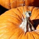 Store Fresh 25 Seeds Mammoth Gold Pumpkin Cucurbita Maxima Carving Pie Vegetable