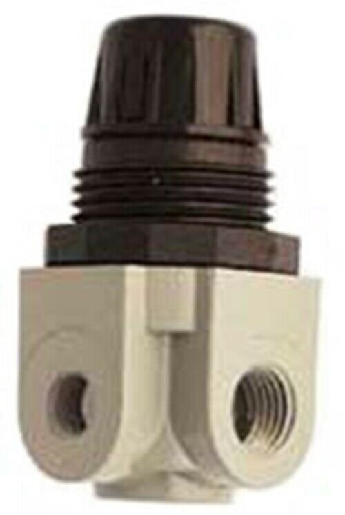 MILTON 1/4 NPT  Mini Heavy DutyRegulator MI1145S
