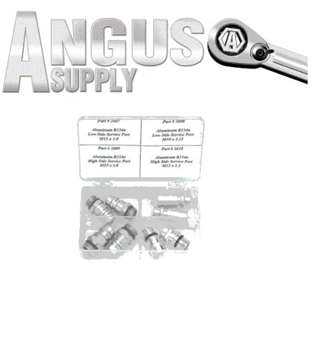 FJC 2685 OE R134a Replacement Service Port Assortment