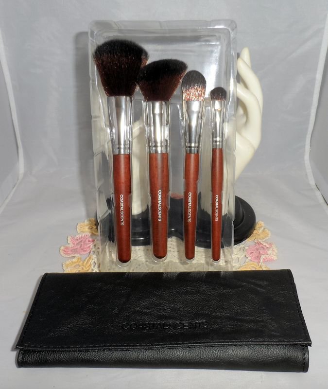 NEW Everything Cosmetic Brush Set of 4 with case