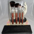 NEW Everything Cosmetic Brush Set of 4 with case