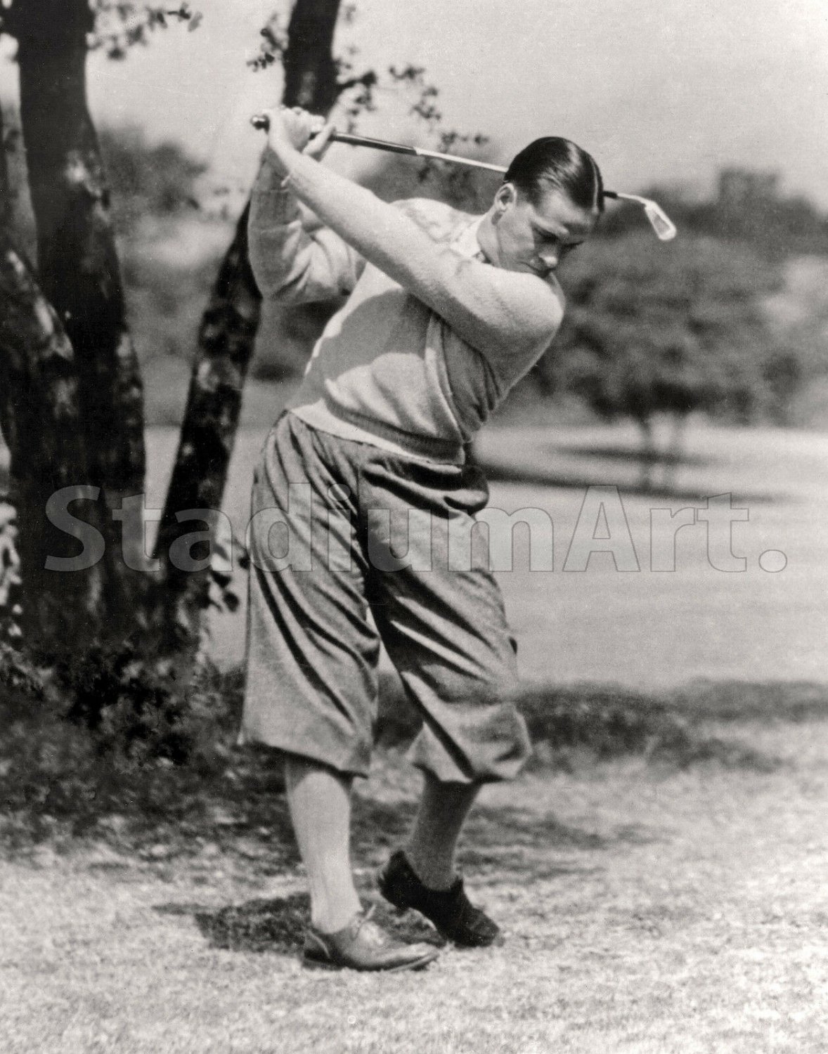 Bobby Jones Golfer Golf Photo 11"x14" Print 6 Swing By Tree