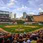 Baltimore Orioles Camden Yards MLB Baseball Photo 11x14 Photograph Print Choices
