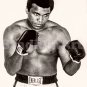 Muhammad Ali Boxer Liston Cassius Marcellus Clay Boxing Photo 8x10-48x36 CHOICES
