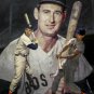 Boston Red Sox Fenway Park MLB Baseball Photos Ted Williams 48x36-8x10 CHOICES