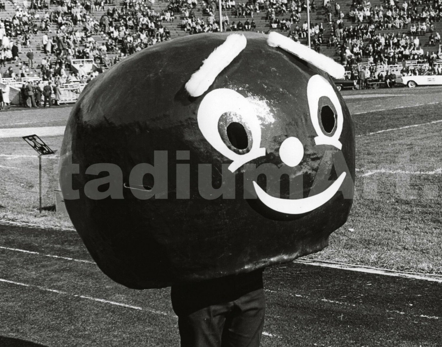 Ohio State Brutus Mascot Old Buckeyes NCAA College Football CHOICES 8x10 - 48x36