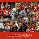 Ohio State Buckeyes Football National Champions Urban Meyer 8x10 - 48x36 2