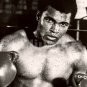 Muhammad Ali Boxer Liston Cassius Marcellus Clay Boxing Photo or Art 50 CHOICES