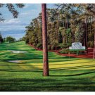 Augusta National Golf Hole 10 Camellia PGA 11PR60 Oil Painting Wall Art Print