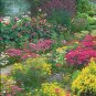 2000+ALL PERENNIAL WILDFLOWER MIX 17 Different Flower Seeds Butterflies Garden