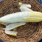 25+LUFFA SPONGE GOURD Seeds Loofah Loofa Loufa Luffah Garden/Large Container