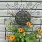 40+BLACK EYED SUSAN VINE Flower Seeds Easy to Grow 8ft Climber Garden/Container