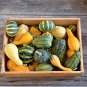 50+SMALL MIXED GOURDS Seeds Hard Shell Type-Crafts Autumn Decoration Baskets