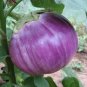 100+ROSA BIANCA EGGPLANT Seeds Italian Heirloom Open Pollinated Container/Garden
