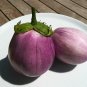 100+ROSA BIANCA EGGPLANT Seeds Italian Heirloom Open Pollinated Container/Garden