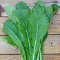 600+TENDERGREEN MUSTARD GREENS Seeds Organic Non-GMO Garden/Patio Containers