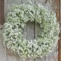 500+BABY'S BREATH Seeds Annual Dried Cut Flowers Bouquet Garden/Patio Containers