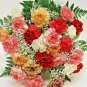 200+CARNATION "CHABAUD MIX" Flower Seeds 8 COLORS Big Long Lasting Blooms Garden