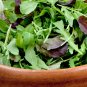 1oz-16,000 GOURMET MESCLUN MIX Seeds Organic SPROUTS Garden/Patio Container Bulk