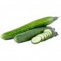 30+CETRIOLO CHINESE SLANGEN CUCUMBERS Seeds Tender Crisp 12"- 20" Long Garden