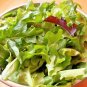 1oz-20,000+ORGANIC GOURMET SALAD MIX Seeds MIXED GREENS Non-GMO Spring/Fall