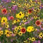 1 OZ=20,000+ALL PERENNIAL WILDFLOWER MIX 17 Different Flower Seeds Micro Prairie