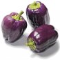 100+PURPLE BEAUTY SWEET BELL PEPPER Seeds Non-Gmo Organic Garden/Patio Container