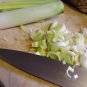 200+PRIZETAKER LEEKS Seeds Organic Non-Gmo Gourmet Spring Garden/Patio Container