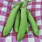 50+HARABEGAN EGGPLANT Seeds Non-GMO Organic India Heirloom Garden/ Seeds USA Seller