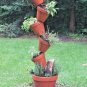 300+ITALIAN FLAT-LEAF PARSLEY Seeds Fresh Herb Garden/Patio Containers Culinary