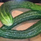 40+JAPANESE LONG PICKLING CUCUMBERS Seeds Mild Crisp Organic Garden/ Seeds USA Seller