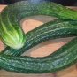 40+JAPANESE LONG PICKLING CUCUMBERS Seeds Mild Crisp Organic Garden/ Seeds USA Seller