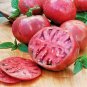 50+CHEROKEE PURPLE TOMATO Seeds Organic American Heirloom Garden / Seeds USA Seller