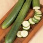 1 OZ-JAPANESE LONG PICKLING CUCUMBERS Seeds Mild Crisp Organic Garden/ Seeds USA Seller