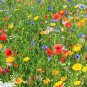 1 OZ=15,000+DEER RESISTANT WILDFLOWER MIX 15 Different Flower Seeds Butterflies