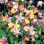 100+COLUMBINE MIX Seeds American Native Wildflower Aquilegia Garden/ Seeds USA Seller