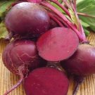 100+RUBY QUEEN BEETS Seeds Organic Non-Gmo Healthy Sprouts Garden/Container SALE