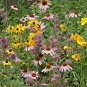 1 OZ=17000+POLLINATOR WILDFLOWER Mix 29 Different Flower Seeds Annual/Perennial