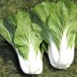 600+PAK CHOY-CHOI CANTON CABBAGE Seeds Non-Gmo Organic Garden/Patio Containers