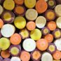 500+RAINBOW CARROTS Seeds 5 Colors All Natural Organic Non-Gmo Gourmet Kitchen